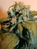 KVS 84 DAYS BUD.jpg KVS 84 DAYS BUD.jpg