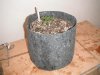 DSCF2241.jpg