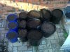 Soil mixed and bagged.jpg