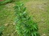 100_6240.jpg