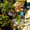 20170424_054926.jpg