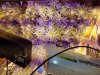 20170504_190012.jpg