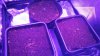 20170505_223219.jpg