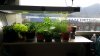20170510_173851.jpg