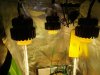 20170511_120243.jpg