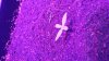 20170511_183747.jpg
