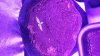 20170511_183744.jpg