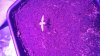 20170511_183741.jpg