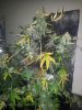 20120829_000228.jpg