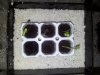 propagator.jpg