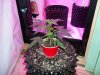 100_0125.jpg
