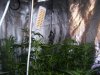 100_6368.jpg