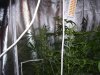 100_6369.jpg