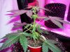 100_0144.jpg