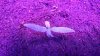 20170514_190517.jpg