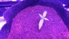 20170514_190507.jpg