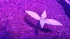 20170514_190505_HDR.jpg