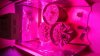 20170518_143750.jpg