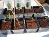 20170522_145300.jpg 20170522_145300.jpg