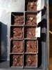 20170520_164417.jpg 20170520_164417.jpg
