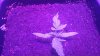 20170522_210056.jpg