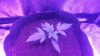 20170522_210051.jpg