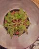 2017-27-5c (2).jpeg