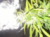 20170529_120623.jpg