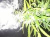 20170529_120628.jpg