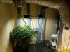 20170606_021252.jpg