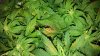 20170524_024834.jpg 20170524_024834.jpg
