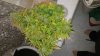 20170606_112306.jpg
