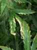IMG_20170608_001600.jpg