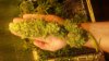 20170608_235551.jpg