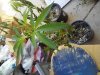 20170611_100154.jpg