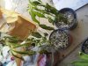 20170611_100146.jpg