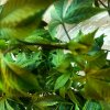 20170612_053109.jpg