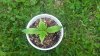 20170607_153751.jpg