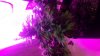 20170612_125507.jpg