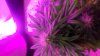 20170612_125458.jpg