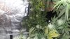 20170609_141200.jpg