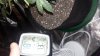 20170613_235817.jpg