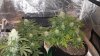 20170613_235833.jpg