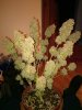 IMG_20170616_230203.jpg