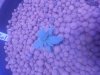 20170618_104611.jpg