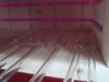 DSC04914.jpg