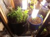 20120923_064721.jpg