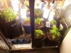 20120923_064806.jpg