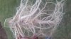 20170622_182255.jpg