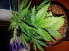 20170702_092118.jpg